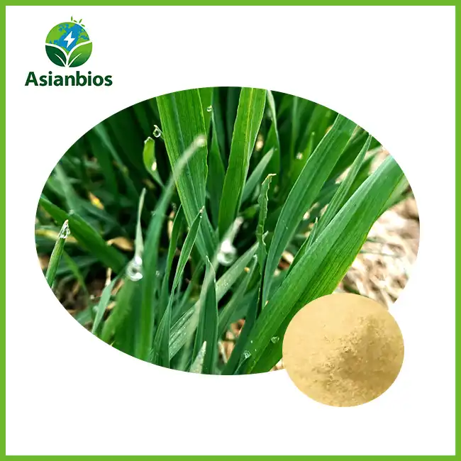 Malt Extract Powder